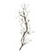 52 Inch Twig Branch Stem with Moss for Tall Vase and Rustic Decor-83981